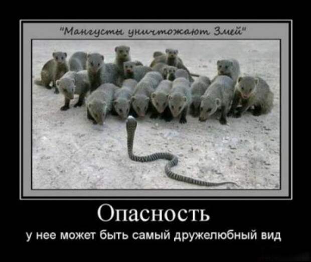 Демотиваторы смысловые и интересные комментарии.