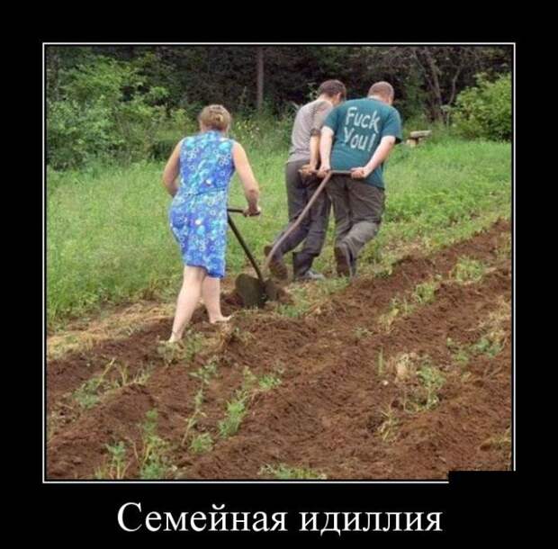 Демотиваторы (30 фото) Демотиваторы (30 фото)