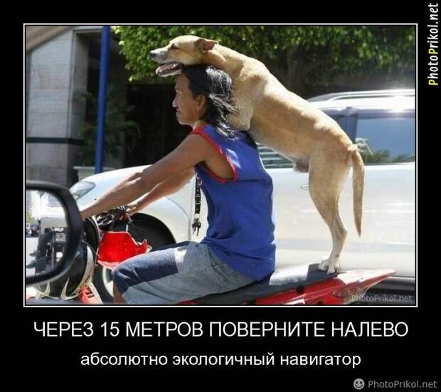 Смешные и прикольные демотиваторы (30 демотиваторов) Смешные и прикольные демотиваторы (30 демотиваторов)