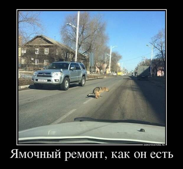 Демотиваторы  демотиваторы, прикол, смех, юмор