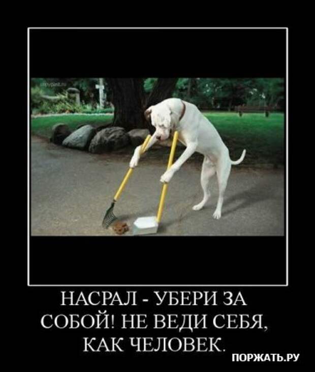 Демотивируйтесь