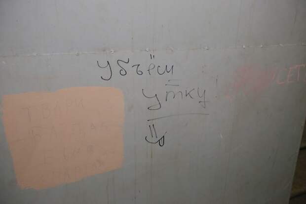 нехорошие люди написали в подъезде, что убьют утку. А вот за что? Уж утка-то ничего плохого никому не сделала. Фото: Тимур ХАНОВ