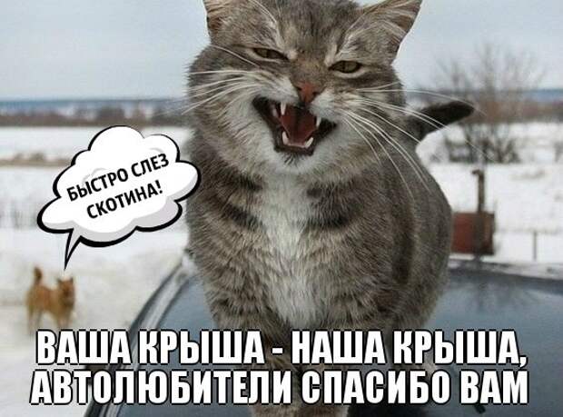 Подборка автоприколов. Часть 76 авто, автоприколы, приколы