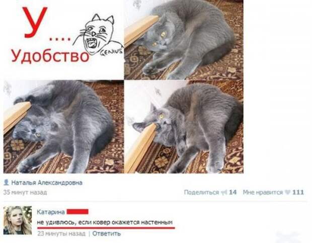 Юморные комменты из соцсетей (31 фото)