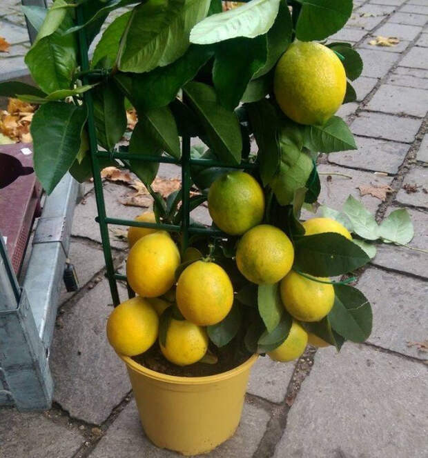 Природа не перестаёт удивлять на снимках
