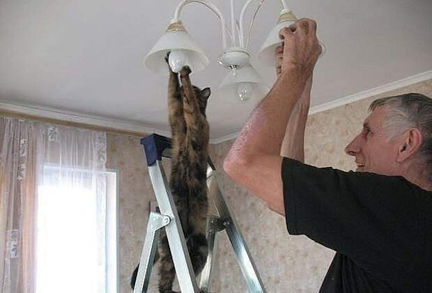 Вот это взаимопомощь!