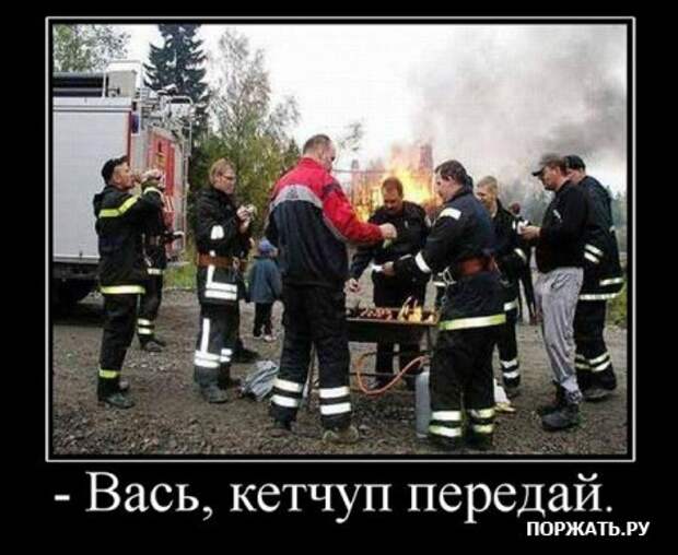 Коллекция демотиваторов