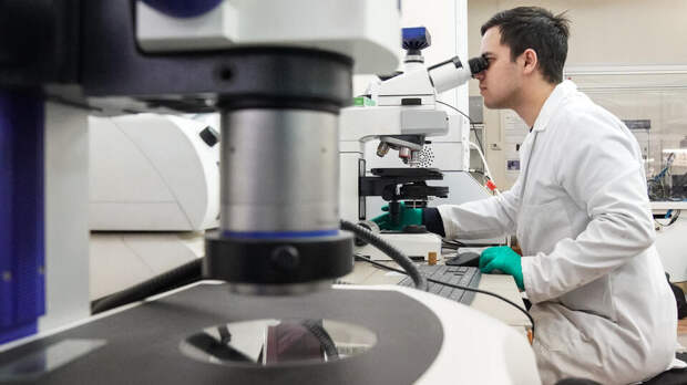 Белки теплового шока могут помочь в лечении Паркинсона