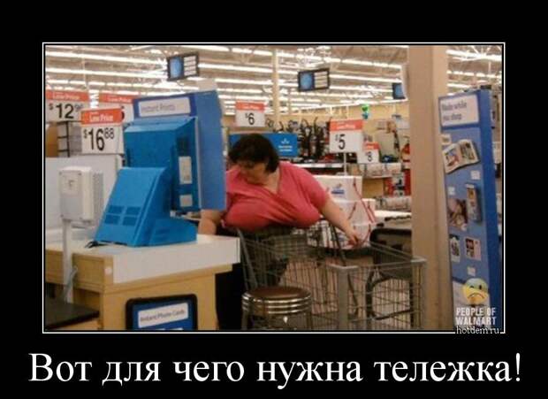 Демотиваторы демотиваторы, прикол, смех, юмор