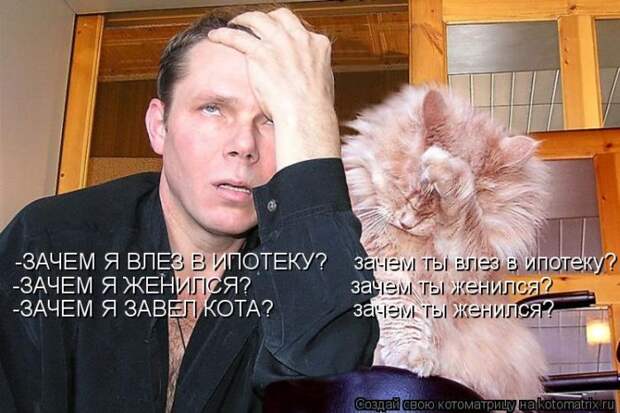 Котоматрица №33