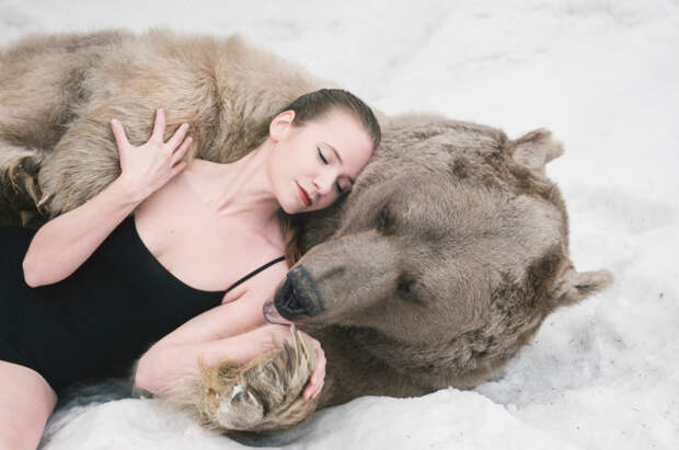 медведь и модели 