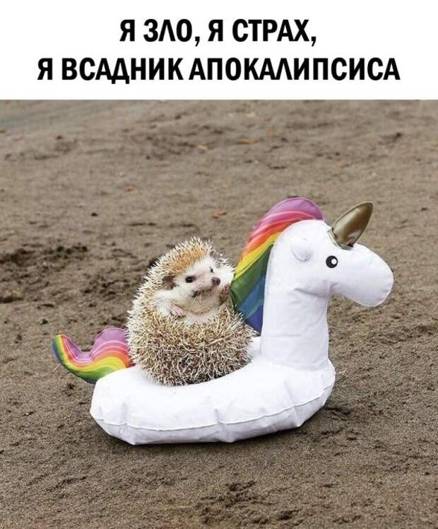 Смешные картинки (20 фото)