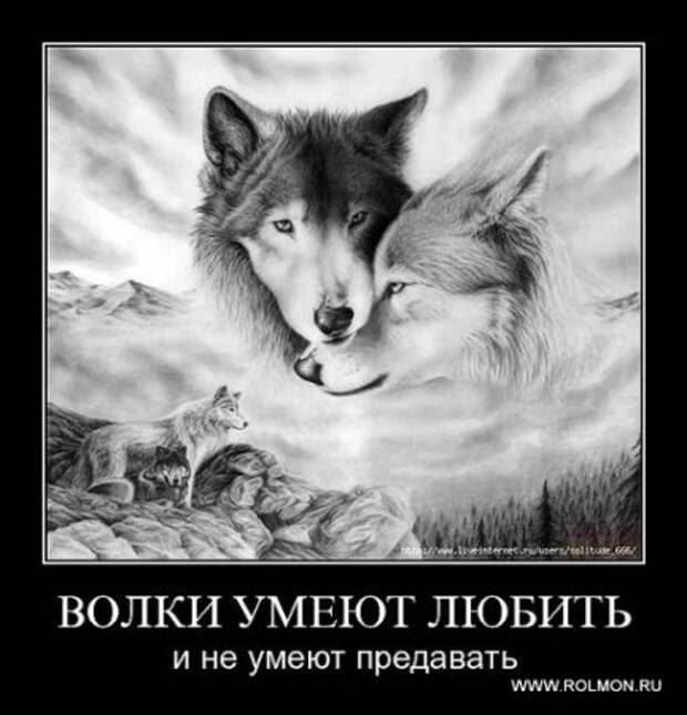 Серьезные и умные демотиваторы.