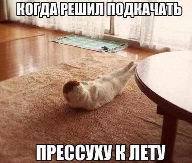 Прикольные картинки (41 шт)