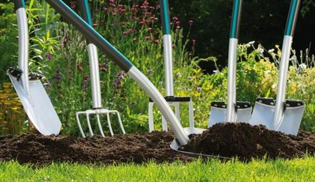 Как правильно выбрать вилы для работы в огороде?