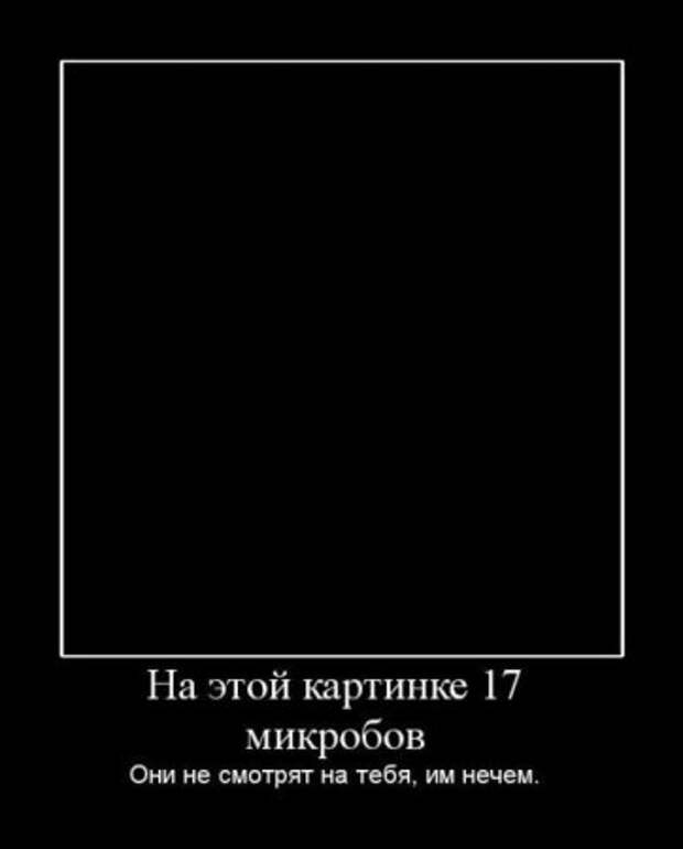 Демотиваторы и все самое прикольное на фото.