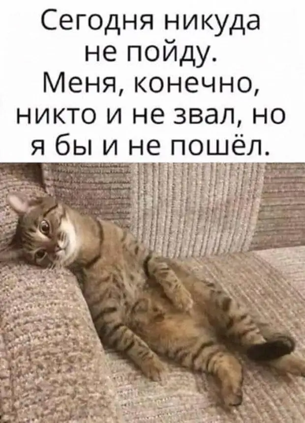 Блондинка проглотила муху и теперь в желудке у нее мозгов больше, чем в голове монашка, лейтенант, говорит, сестра, службе, товарищ, чтобы, полковник, Товарищ, мужик, спрашивает, просто, вареного, знаешь, откуда, Заходит, после, часть, служить, насколько