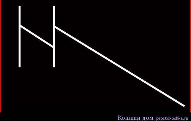 Лапка раздора. Лапка раздора. Рунический став сила. Руническая формула молот ведьмы. Разрушение отношений рунами.