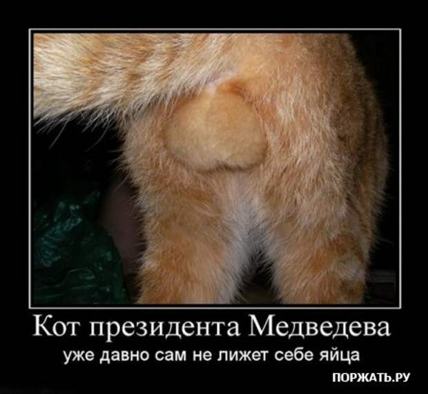 Хотели демотиваторов? Это есть у нас!