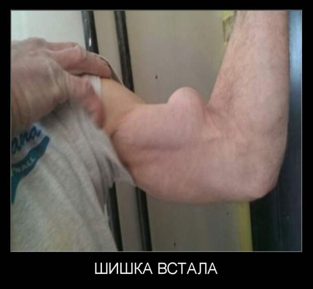 Демотиваторы демотиваторы, прикол, смех, юмор
