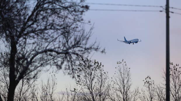 В МИД РФ указали на возможность возобновления авиасообщения между Россией и США