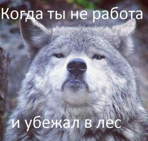 Пятничный позитив в прикольных картинках (47 шт)