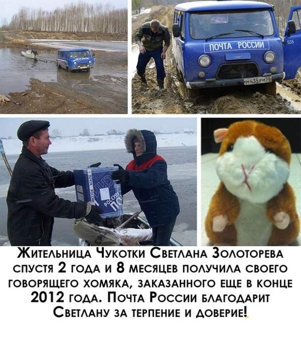 Смешные картинки с надписями прикол, юмор