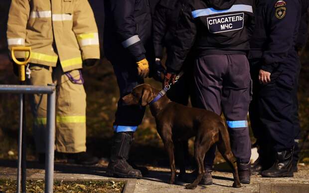 Стали известны подробности исчезновения мужчины на месте пропажи семьи Усольцевых