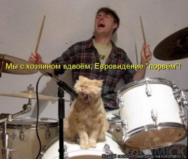 Котоматрица