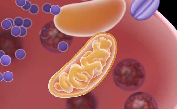Cell: генетика и вирусы играют ключевую роль в развитии рассеянного склероза