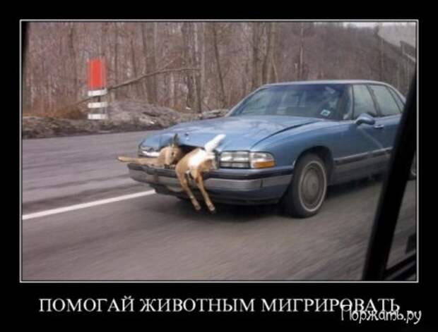 Демотиваторы прикольные и со смыслом, смешные и серьезные.