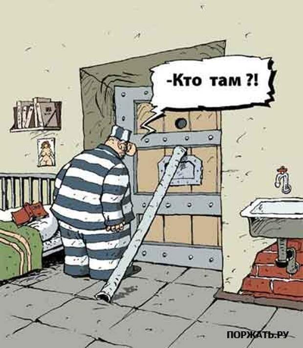 Фото приколы, смешные картинки и новые классные надписи.