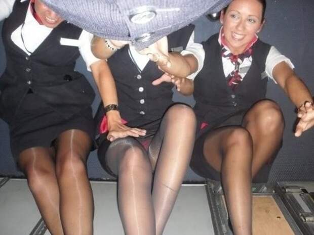 Немного о стюардессах девушки, стюардессы, фото