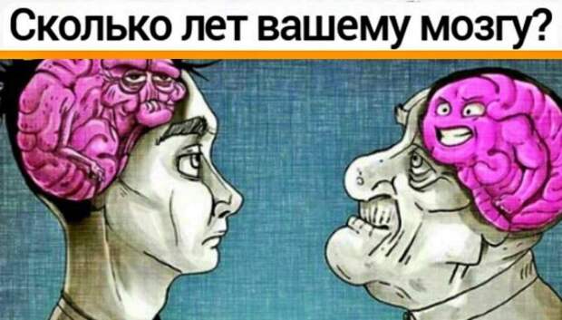 20 или 60: тест определит настоящий возраст вашего мозга