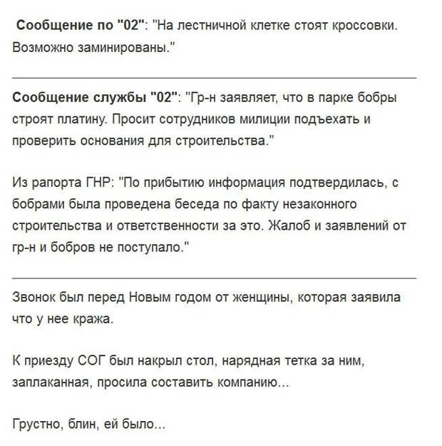 самые бредовые заявления в полицию 