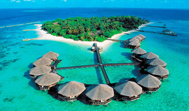maldivy