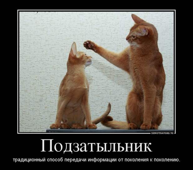 Демотиваторы демотиваторы, прикол, смех, юмор
