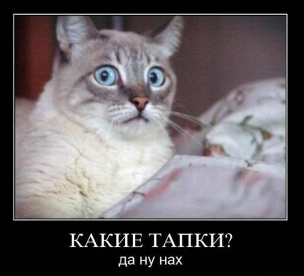 Демотиваторы смешные.
