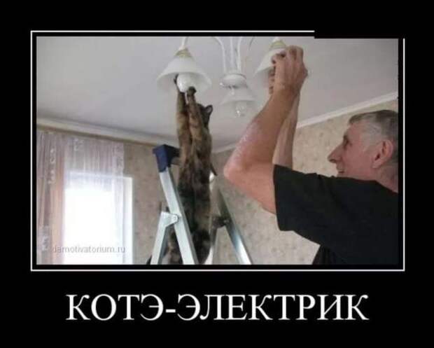 Прикольные демотиваторы с надписями. Подборка chert-poberi-dem-chert-poberi-dem-23300901072020-14 картинка chert-poberi-dem-23300901072020-14