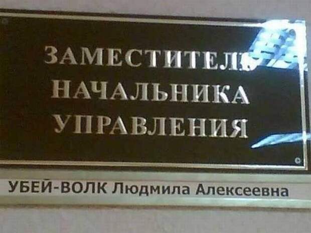 Такими фамилиями обладают только неординарные личности Такими фамилиями обладают только неординарные личности прикол, работа, юмор