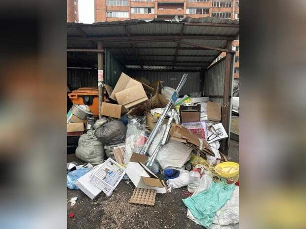Читинцы массово жалуются на невывоз мусора «Олероном+»