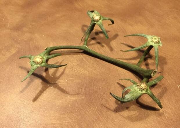 ebay.com