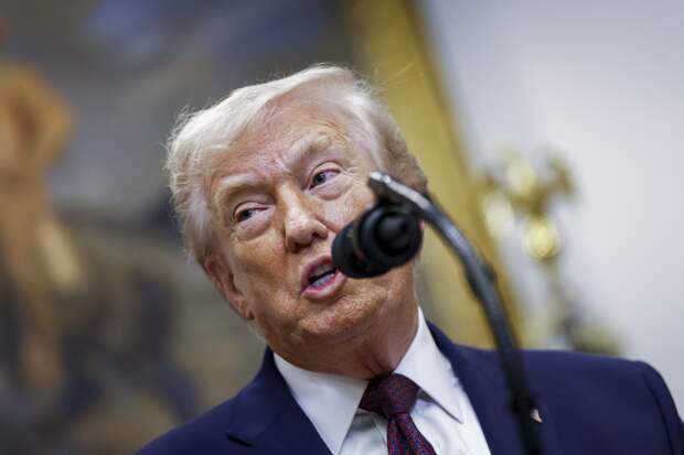 Трамп анонсировал много контактов с Зеленским