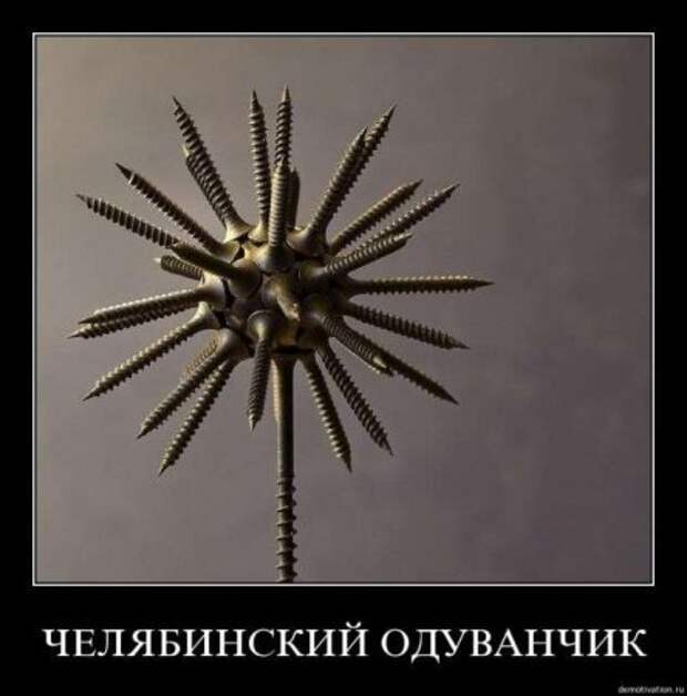 Демотиваторы, классные приколы в картинках на сегодня.