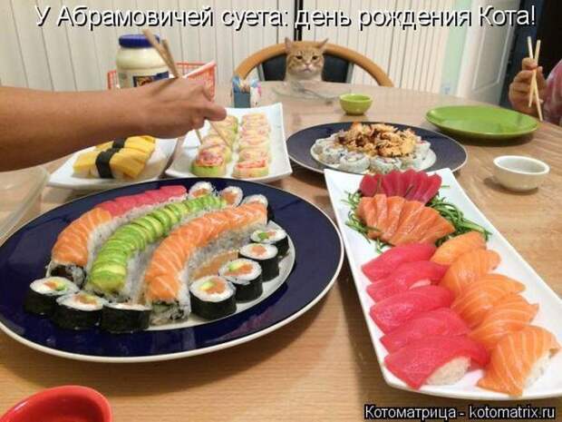 Лучшие котоматрицы недели