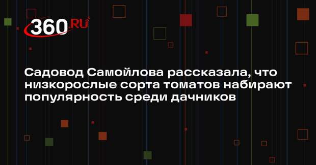 Садовод Самойлова рассказала, что низкорослые сорта томатов набирают популярность среди дачников