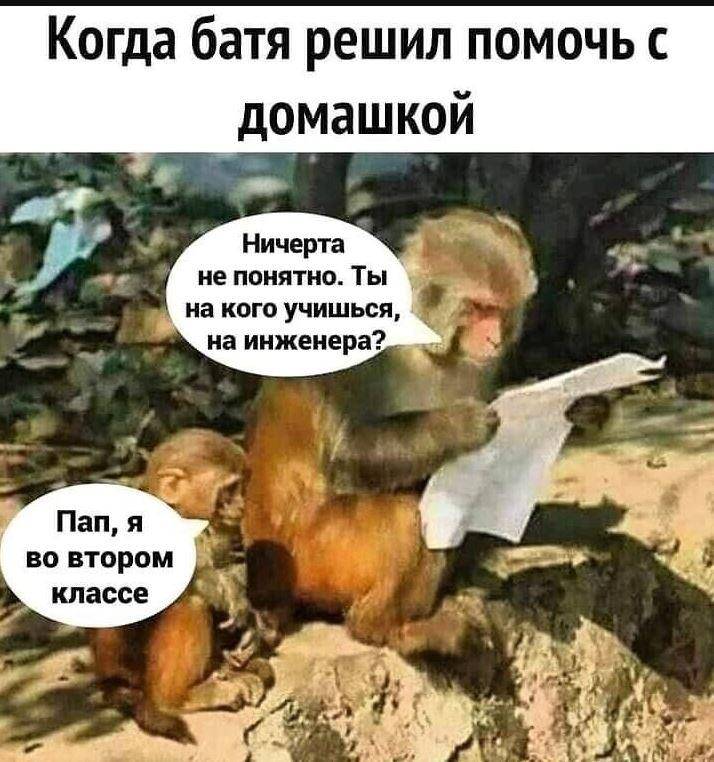 Прикольные картинки для поднятия настроения (15)