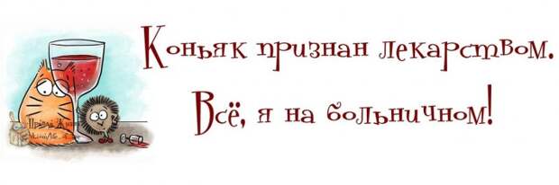 Прикольные фразочки в картинках №16414