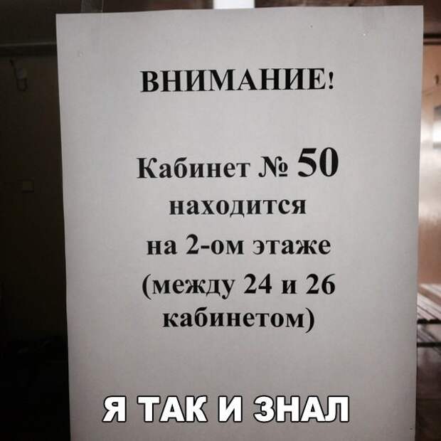 Смешные картинки с надписями видео, прикол