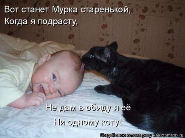 Замечательная котоматрица (27 фото)